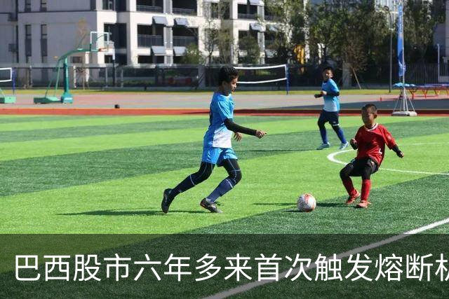 巴西股市六年多来首次触发熔断机制