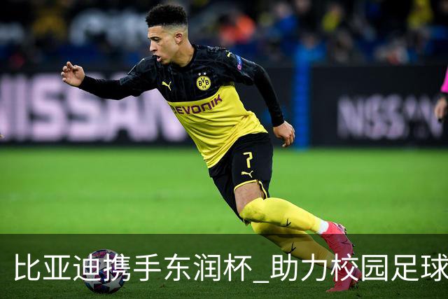 比亚迪携手东润杯 助力校园足球少年圆梦工体