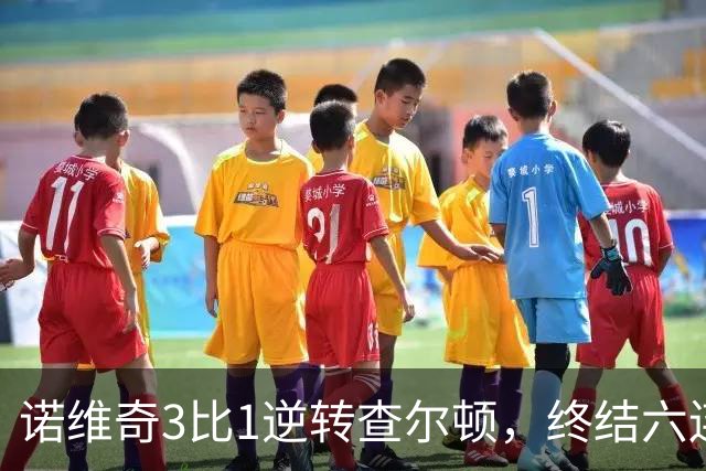 诺维奇3比1逆转查尔顿，终结六连败