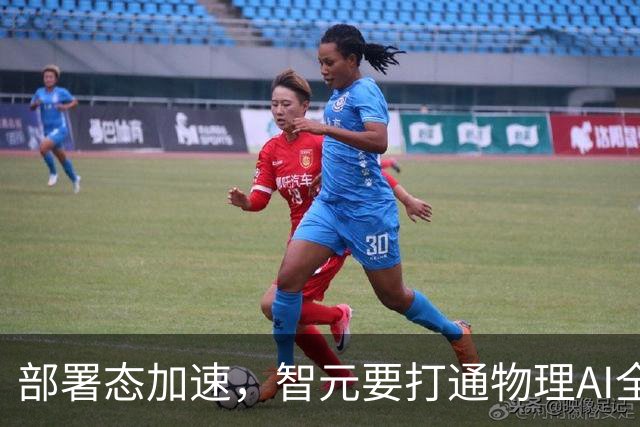 部署态加速，智元要打通物理AI全链路